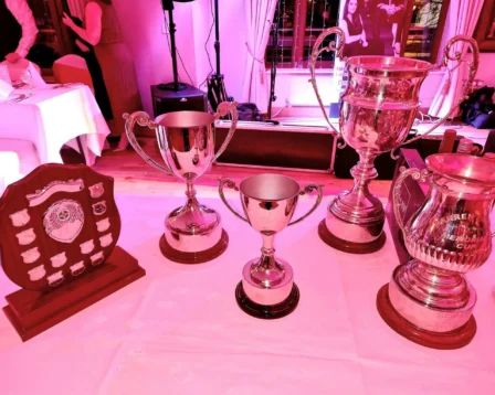 Gleaming trophies on display in a cosy, warmly lit hospitality setting.