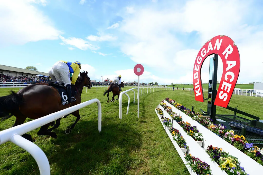 Family enjoying a sunny day at Kilbeggan Races, horses racing on green track.