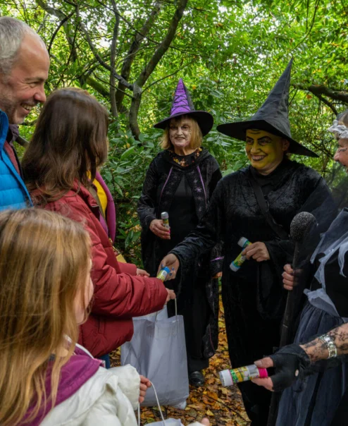 A family enjoys a Halloween event with people in witch costumes at a forested resort.