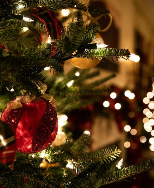 Cosy holiday setting with sparkling Christmas trees and glowing lights.