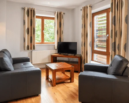 Cosy hotel lounge with leather sofas, wooden accents, and a TV; curtains open to greenery.